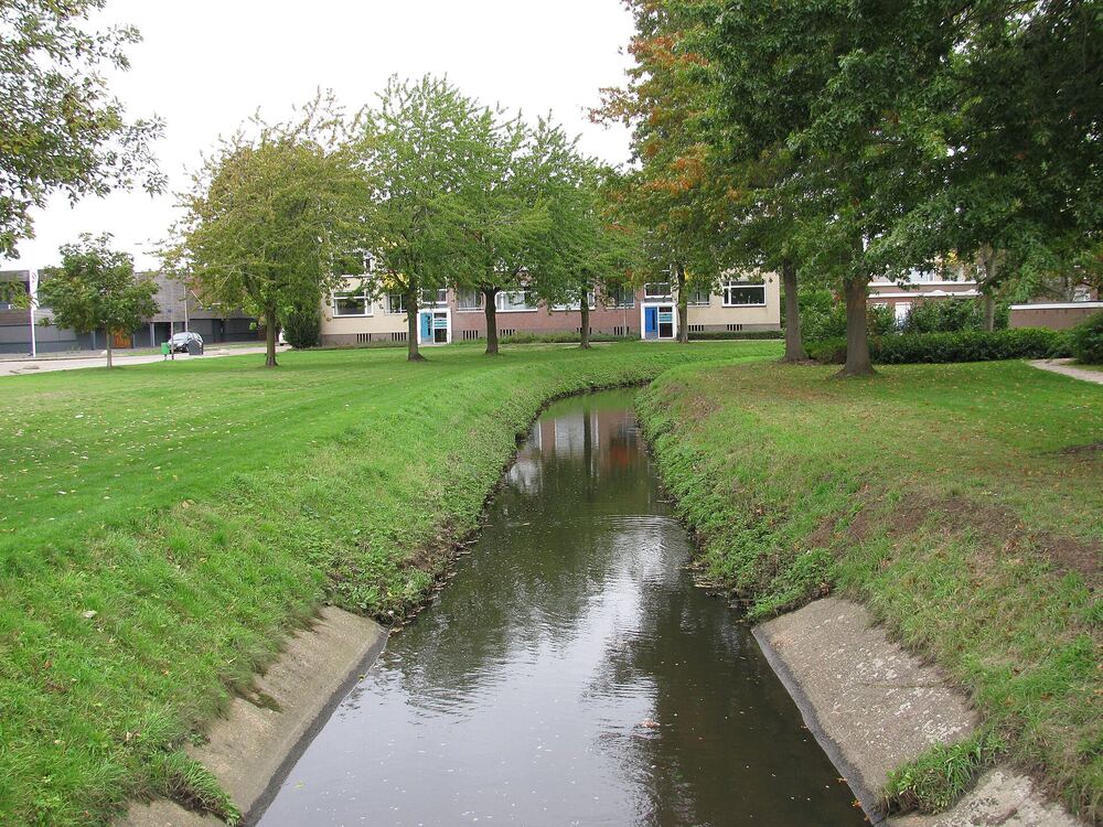 De Berflobeek in Hengelo met grasbermen en bomen langs het water