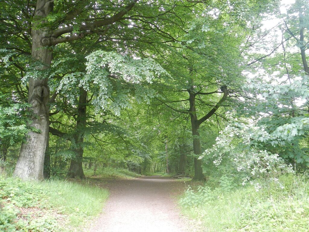Stadswandeling Hengelo Herrezen in Hengelo