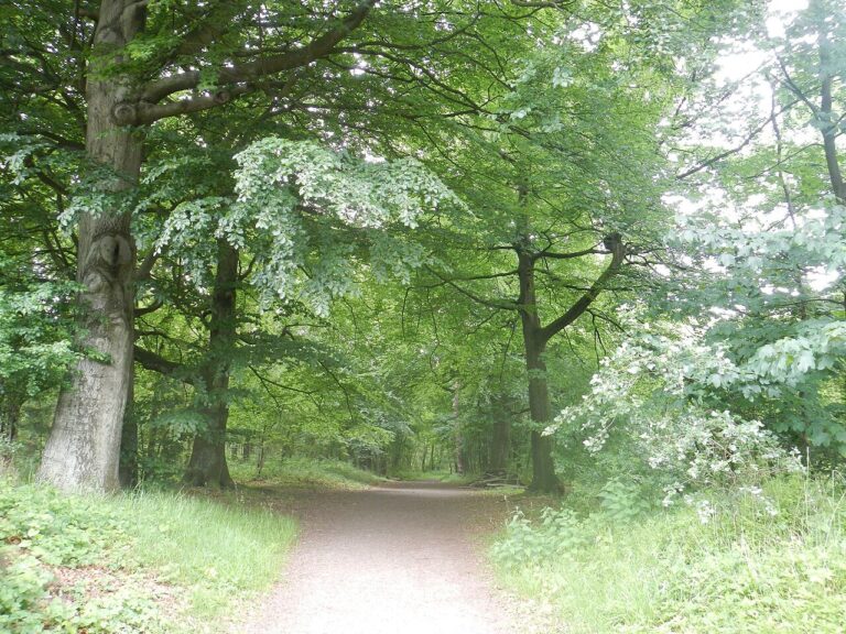 Stadswandeling ’t Lansink — Natuur in Hengelo